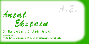 antal ekstein business card